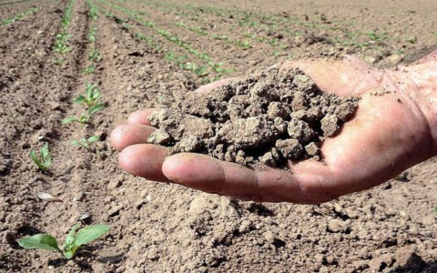 Coldiretti Novara-Vco avverte: la siccità minaccia i raccolti e il cibo locale