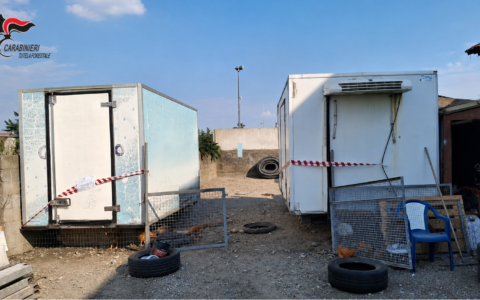 Denunciato per il furto di due celle frigorifere destinate ai cinghiali