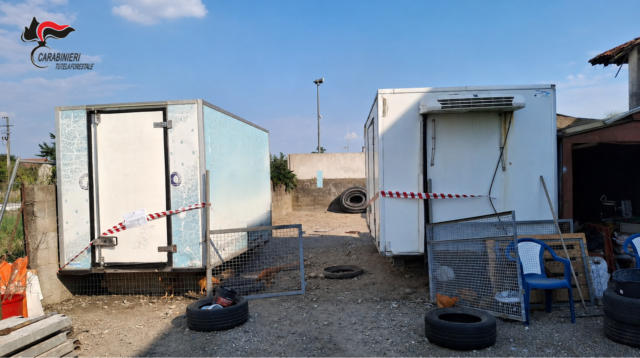 Denunciato per il furto di due celle frigorifere destinate ai cinghiali