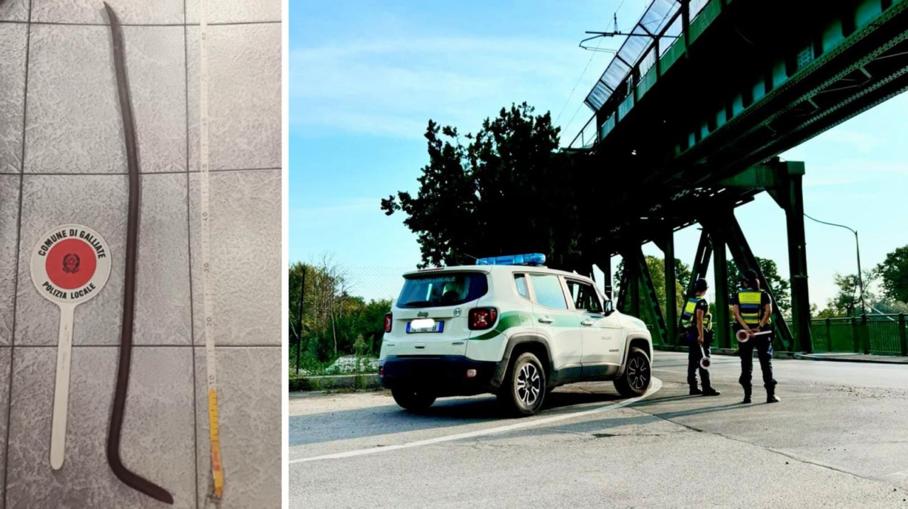 Galliate: la Polizia Locale recupera un veicolo rubato e sequestra un piede di porco