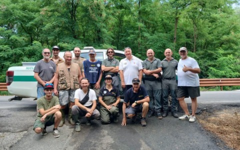 Recupero della fauna ittica nei torrenti Sizzone e Strona: un intervento della Provincia e FIPSAS Novara