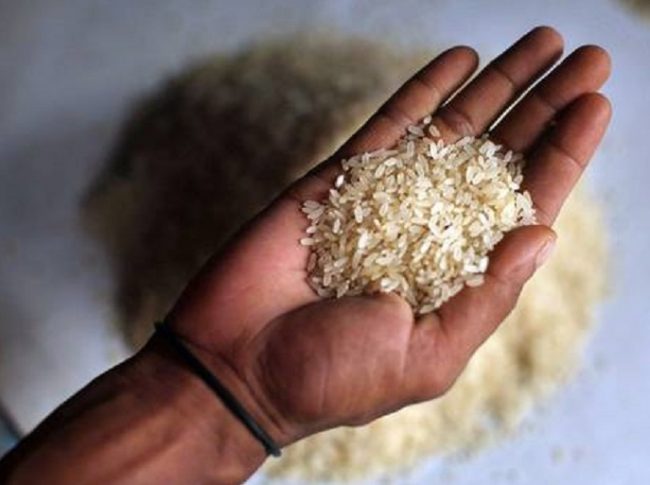 Coldiretti Novara-Vco: crisi del riso mette a rischio le aziende agricole